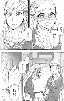 (ALL STAR 9) [CURSOR (Satou)] Ashita no Watashi-tachi (The Legend of Zelda) - page 20