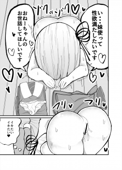 [Izumo Gasshuukoku (Momomo Gasshuukoku)] Chicchai! Onee-chan to Imouto no Ura (VOICEROID) - page 17