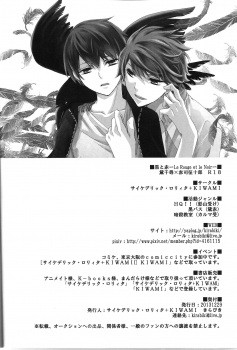(C85) [Psychedelic Lolita, KIWAMI (Kirabiki)] Kuro to Aka - Le Rouge et le Noir (Kuroko no Basuke) - page 18