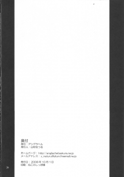(SC33) [Anglachel (Yamamura Natsuru)] Injoku no Senshi Leina & Elina (Queen's Blade) - page 25