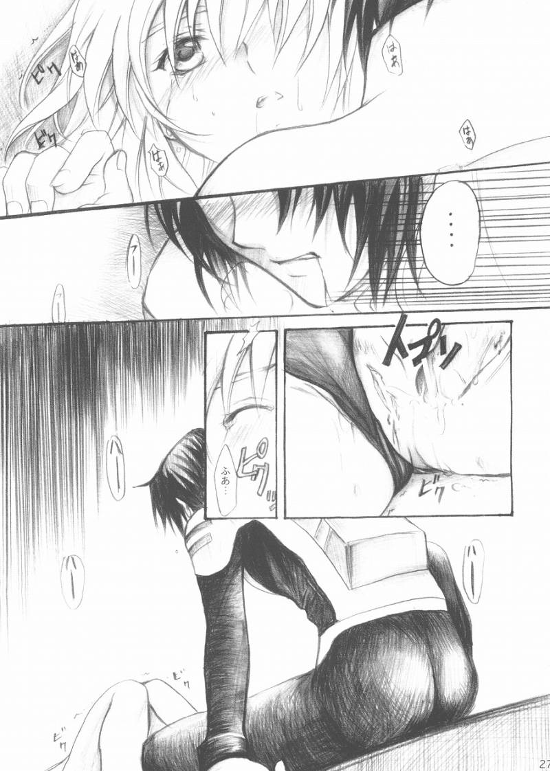 [Reongumi Kaeda Reon] Harete Koyoiha (Kidou Senshi Gundam SEED) page 25 full