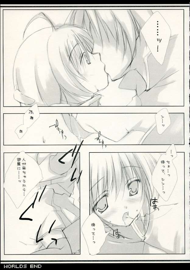 (C69) [A.L.C (Kannazuki Nem)] WORLDS END (Kidou Senshi Gundam Seed Destiny) page 6 full