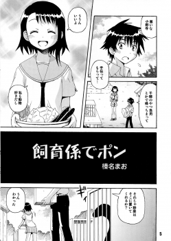 (C84) [Shinohara Heavy Industry (Various)] NISEKOiX 2 (Nisekoi) - page 5