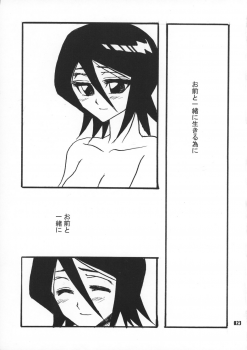 (C70) [SAKURAEN (Suzume, Okada Reimi)] Himegimi to Inu (Bleach) - page 22