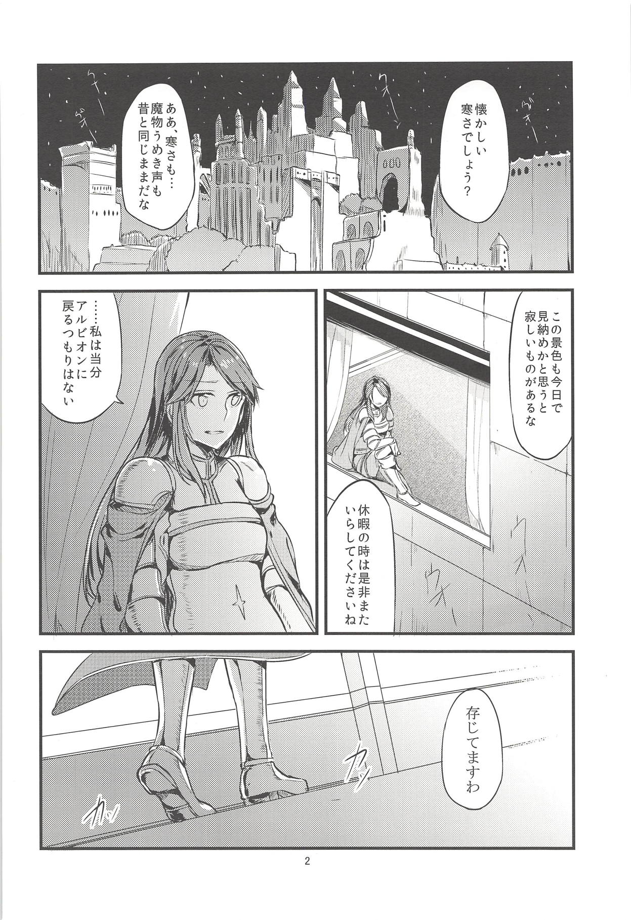 (Fata Grande Kikuusai) [Hatakewotagayasudake (Mikanuji)] Jouzai no Saki ni Aru Mono wa (Granblue Fantasy) page 3 full