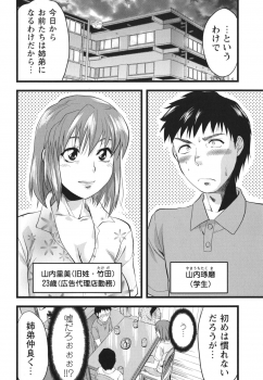 [Yuzuki N Dash] Gyutto!! Oneechan - page 11