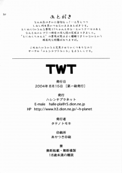 (C66) [Hallenchi Planet (Tateno Tomoki)] TWT (Mobile Suit Gundam SEED) - page 29