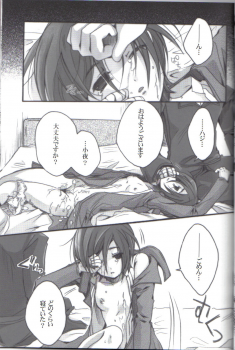 (C70) [Alkaloid (Tokitsukaze Otoha)] Beautiful Dreamer (Blood+) - page 12