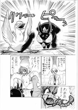 (C63) [... Mou Ii Desu. (Jinmu Hirohito)] Toriaezu FF4 (Ranma 1/2) - page 13