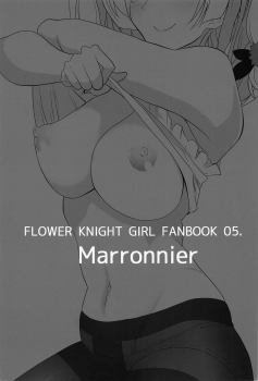 (C95) [Hairyo Fusoku (Asahikawa)] Ripetere (Flower Knight Girl) - page 18