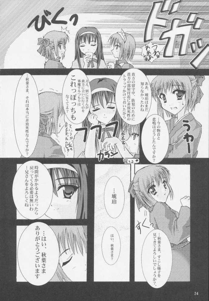 [A' (bebe)] Rakuyou Shuugetsu (Tsukihime) page 22 full