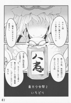 [Irotoridori (Irodori)] Touhou Shoujo Matsuri After (Touhou Project) - page 4
