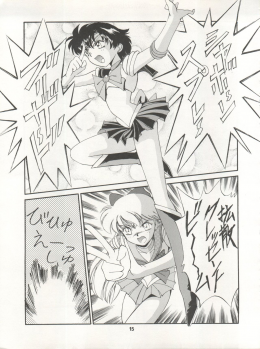 [Ryuukisha (Various)] LUNATIC ASYLUM DYNAMIC SUMMER (Bishoujo Senshi Sailor Moon) - page 15