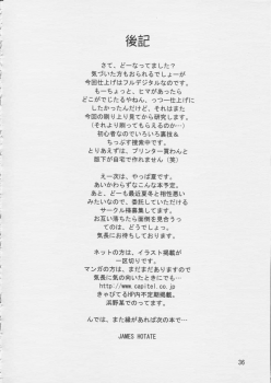 (C55) [Hotateya (James Hotate)] Doki * 2 Syndrome 1998 Win (Super Doll Licca-chan) - page 35