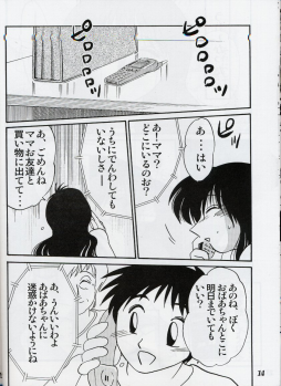 (C61) [Studio Sitomi (Tsuya Tsuya)] Hisae Haitoku Nikki Shiori no 2 - page 13