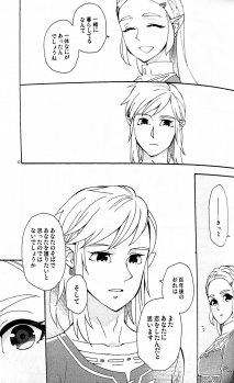 (ALL STAR 9) [CURSOR (Satou)] Ashita no Watashi-tachi (The Legend of Zelda) - page 16
