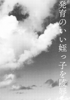 (C94) [Shimajiya (Shimaji)] Hatsuiku no Ii Meikko o Ryoujoku. [Chinese] [兔司姬漢化組] - page 4