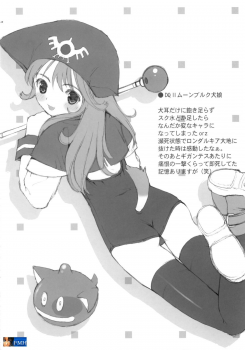 (C69) [Hellabunna (Iruma Kamiri, Mibu Natsuki)] RE:set One (Dragon Quest IV) [English] [SaHa] - page 28