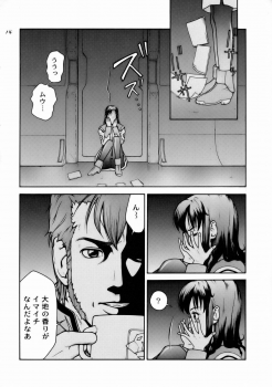 (C66) [Hallenchi Planet (Tateno Tomoki)] TWT (Mobile Suit Gundam SEED) - page 13