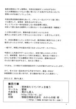 (C84) [Hibiki (Iganseijin)] Jashin Kitarite Patche o Kuu (Touhou Project) - page 29