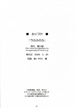 (Lyrical Magical 6) [Kamogawaya (Kamogawa Tanuki)] Ufufuu no Fu IV (Mahou Shoujo Lyrical Nanoha) - page 18