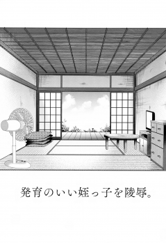 (C94) [Shimajiya (Shimaji)] Hatsuiku no Ii Meikko o Ryoujoku. [Chinese] [兔司姬漢化組] - page 3