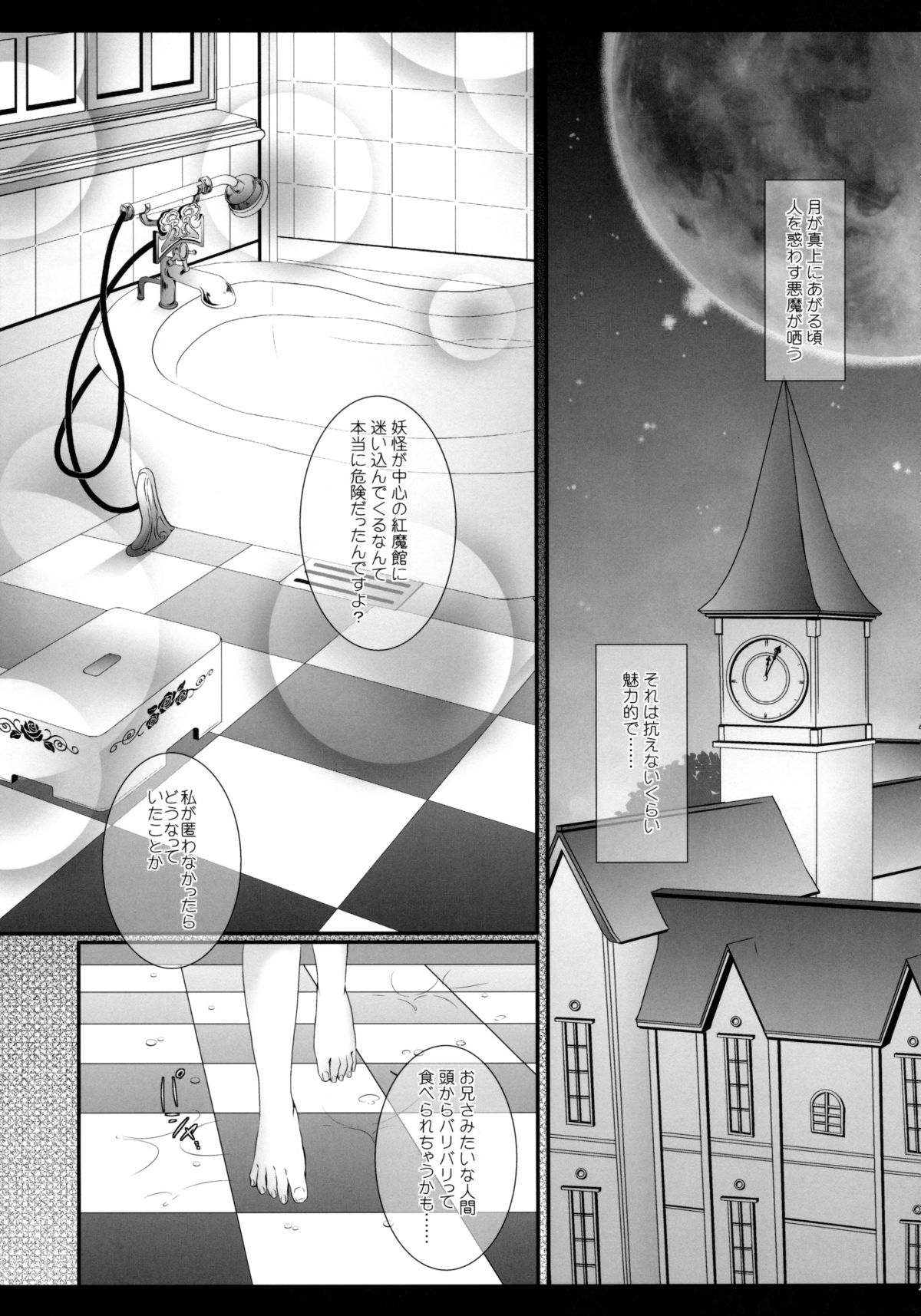 (C85) [Setoran (Itou Seto, Tanno Ran)] silhouette silhouette (Touhou Project) page 5 full