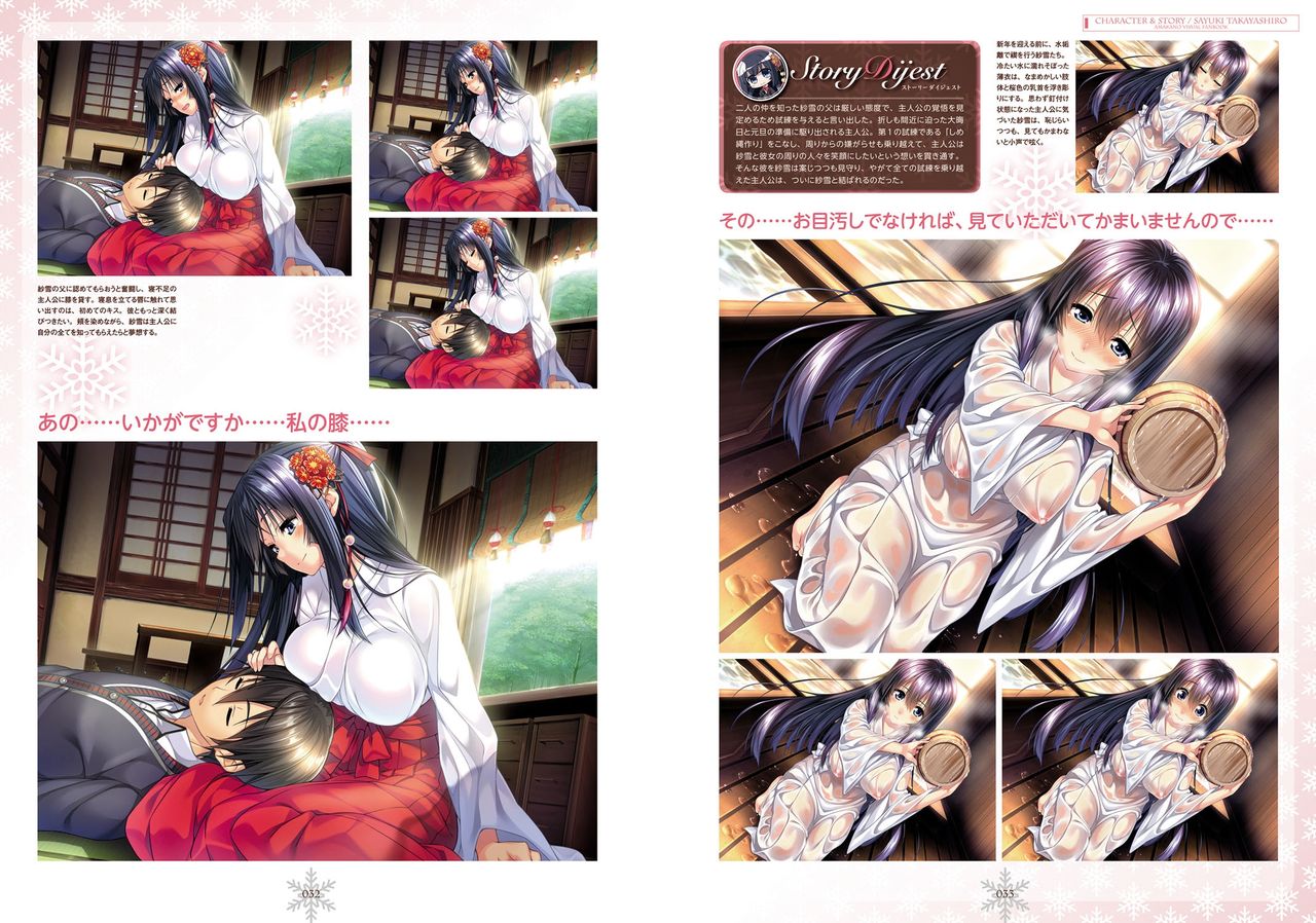 Amakano Visual Fan Book page 17 full