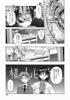 [Inoue Yoshihisa] Sunao - page 33