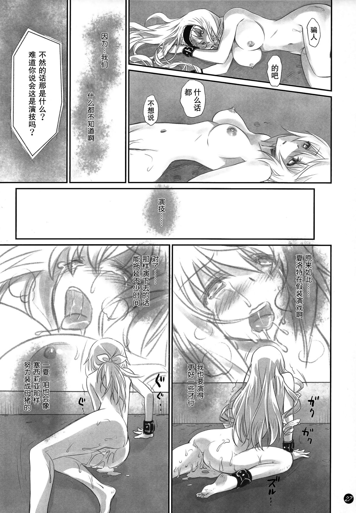 (C86) [Bloody Okojo (Akutagawa Manbou)] I Do My Best For You (Infinite Stratos) [Chinese] [无毒汉化组] page 27 full