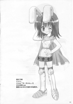 (C65) [MiyuMiyu Project (Kanna Satsuki)] Ai ni oboreru tsukiyo II (Ragnarok Online) - page 23