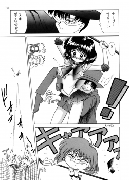 (C58) [BLACK DOG (Kuroinu Juu)] GOLD EXPERIENCE (Sailor Moon) [2nd Edition] - page 12