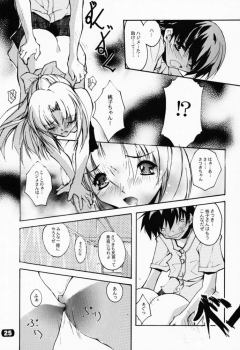 (CR29) [RYU-SEKI-DO (Nagare Hyo-go)] Geschwister II (Sister Princess) - page 24