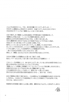 (C91) [T-NORTH (Matsumoto Mitohi.)] Kashima-kun ni wa Teitoku ga inai (Kantai Collection -KanColle-) - page 24