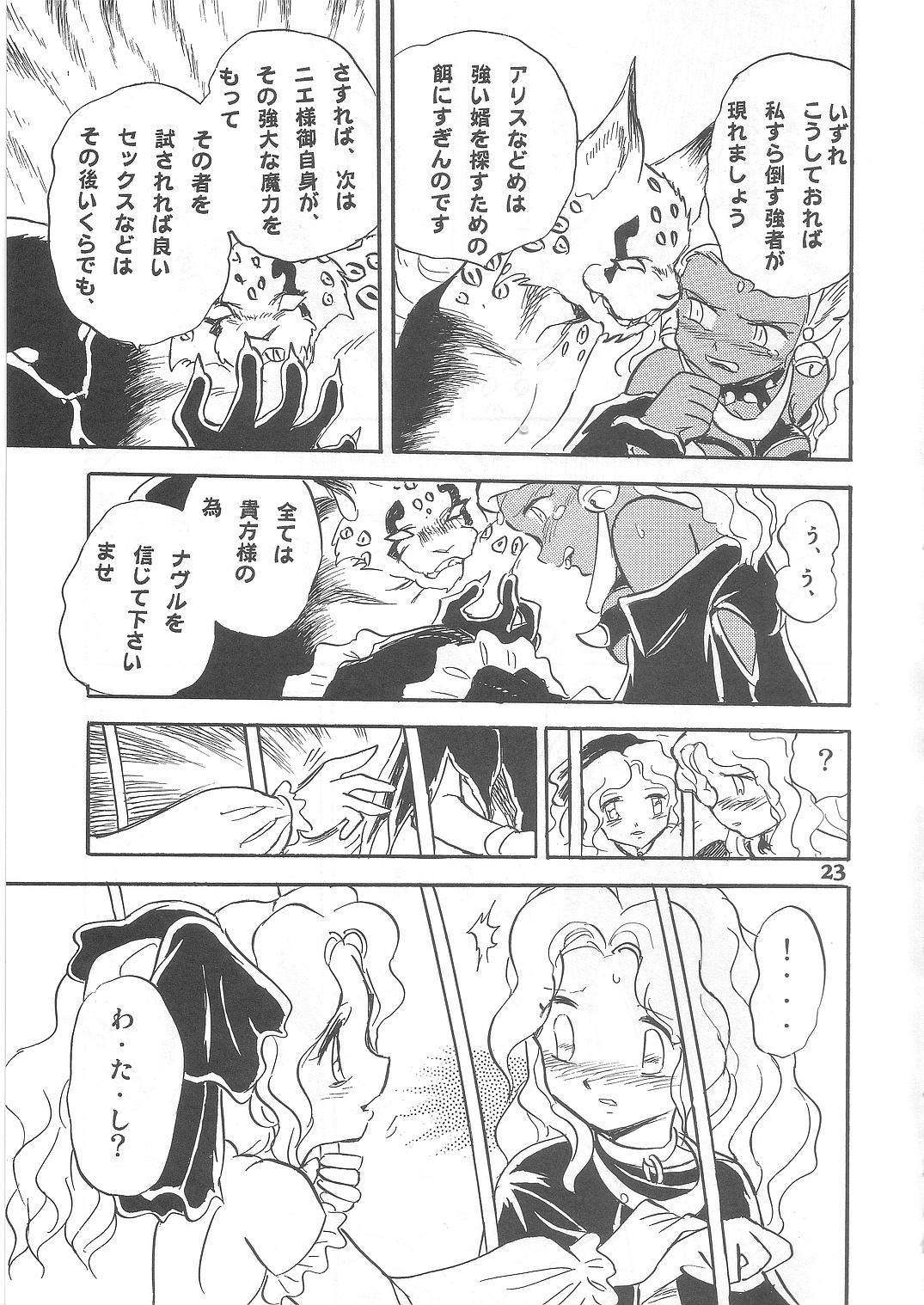 (C69) [Studio Himitsukichi (Hasegawa Yuuichi)] Fallen Angel Dora 2 Colosseum page 23 full