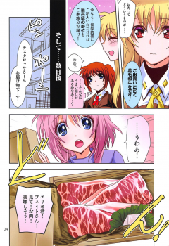 (COMIC1☆15) [PLUM (Kanna)] Magical SEED BBQ (Mahou Shoujo Lyrical Nanoha) - page 3