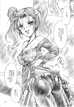 [Kotori Jimusho (Sakura Bunchou)] HESTIA (Dragon Quest VIII) - page 13