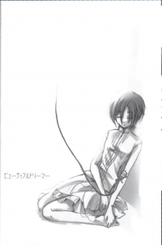 (C70) [Alkaloid (Tokitsukaze Otoha)] Beautiful Dreamer (Blood+) - page 20