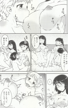 (C92) [Cambropachycope (Soso-Zagri)] Onee-chan × Otouto no 2 Noruna - page 12
