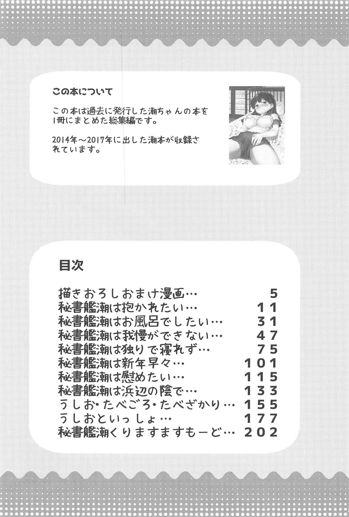 (C95) [ROCK CLIME (Sakimori Dan)] Hishokan Ushio Collection (Kantai Collection -KanColle-) page 2 full