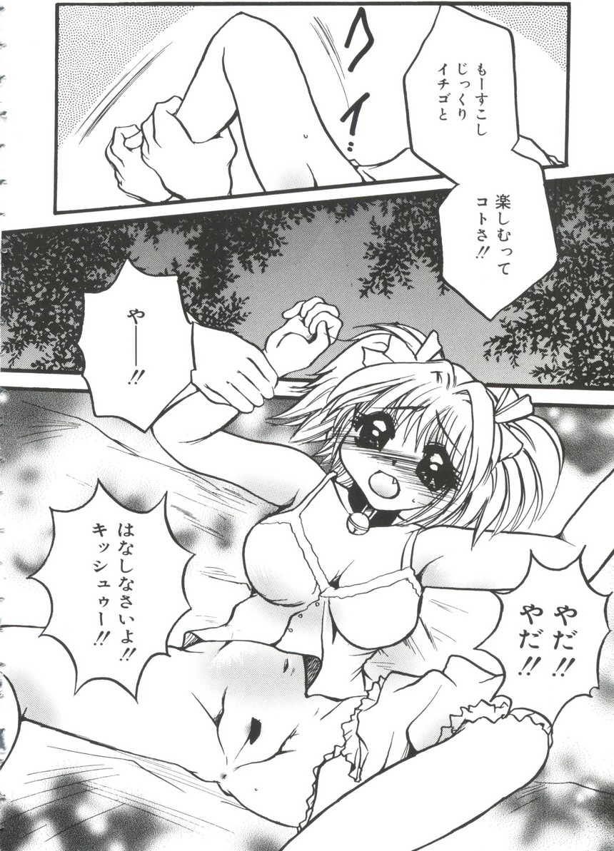 [doujinshi anthology] Moe Chara Zensho Vol.  2 (Kasumin, Pretty Sammy, Card Captor Sakura, Tokyo Mew Mew) page 7 full