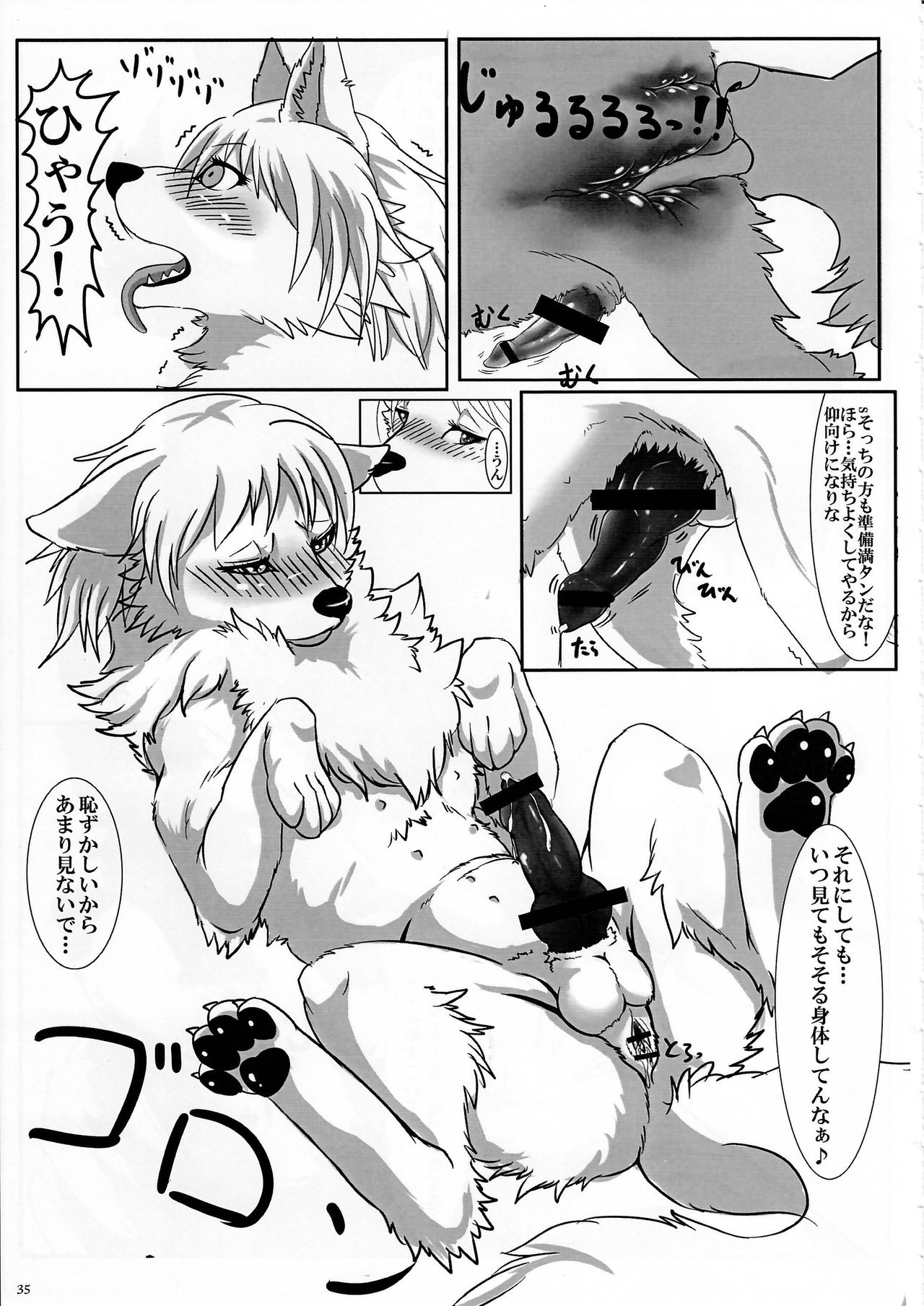 (Kansai! Kemoket 3) [KTQ48 (Various)] KTQ 7 page 35 full