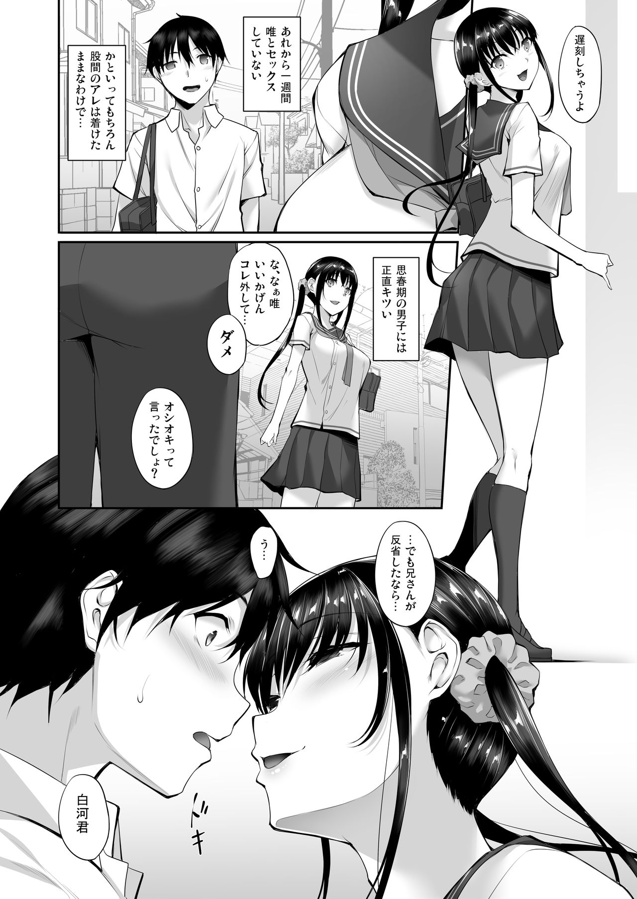 [In The Sky (Nakano Sora)] SISUANA - sister hole 2 [Digital] page 5 full
