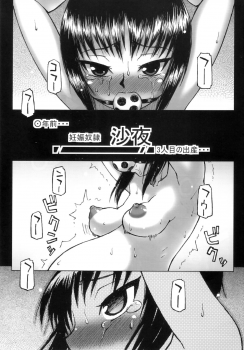 (C78) [Domestic animals (Murasame Maru)] Haradeka!! Ninpu Asako-chan - page 2