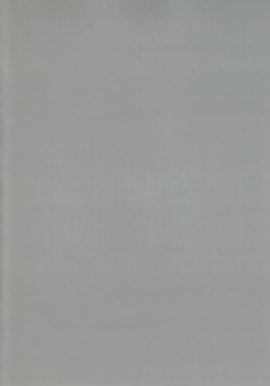 (C89) [Ajisaidenden (Kawakami Rokkaku, Takanashi Rei)] Wacchi to Nyohhira Bon FULL COLOR (Spice and Wolf) [Chinese] [无毒汉化组] [Decensored] - page 4