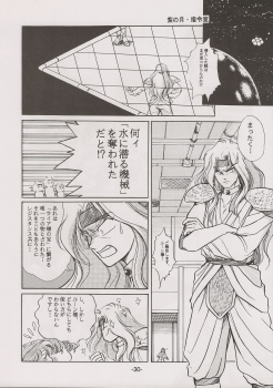 [Manga Doukou-kai (Tominaga Akiko)] PHANTASY STAR ALL!! 7 (Phantasy Star series) - page 30