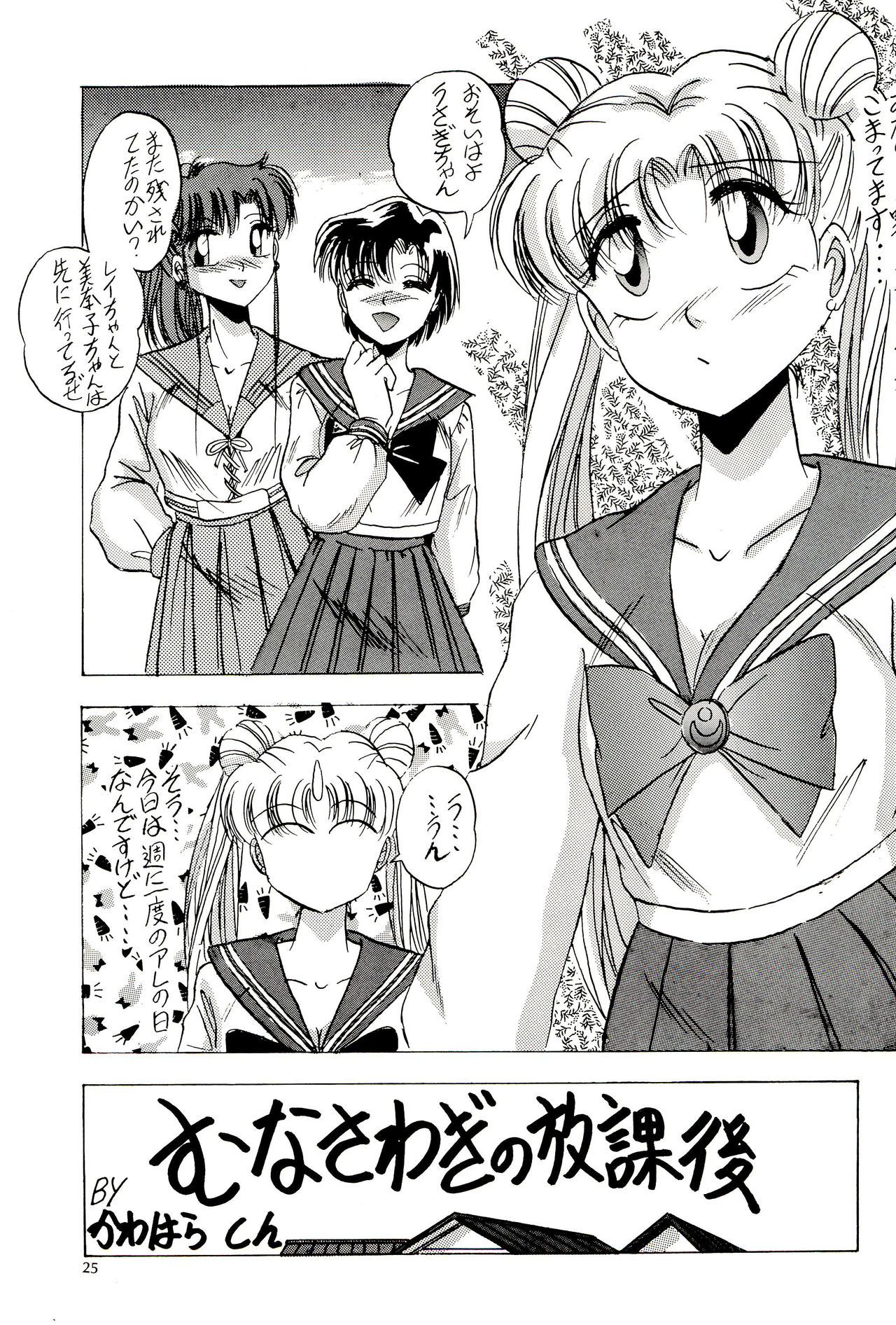 (C44) [M.C.B (Various)] Tsuki no Ura no Labyrinth (Sailor Moon) page 25 full