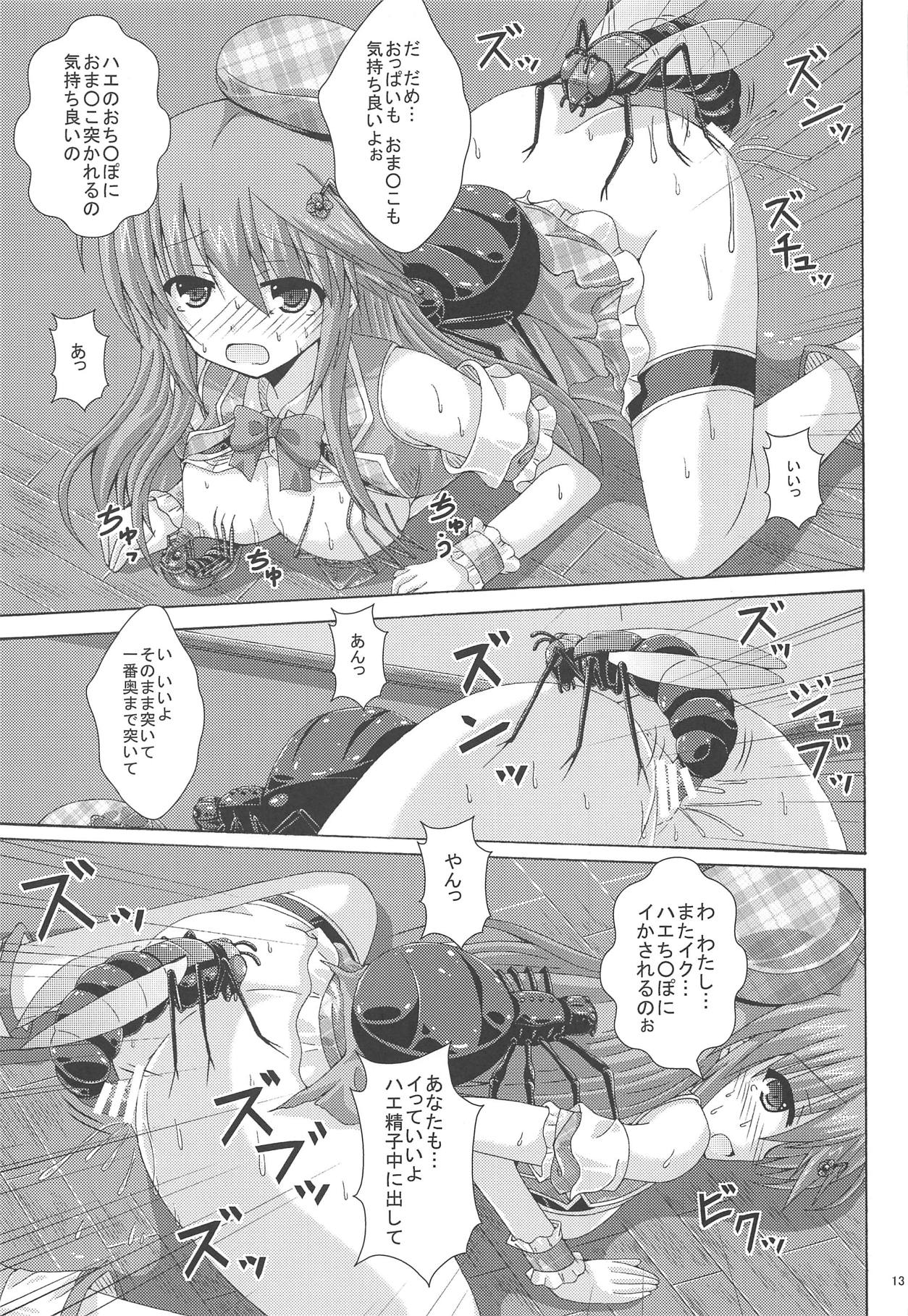 (C95) [Dream Project (Yumeno Shiya)] Gaichuu-tachi no Koukasai (Flower Knight Girl) page 12 full