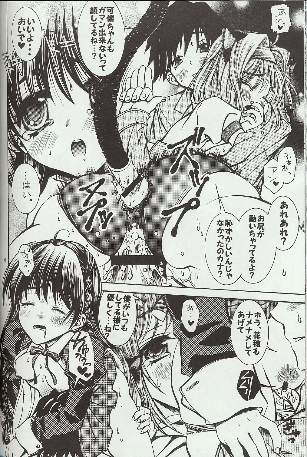 (C60) [Mirai Seiki Mahuri Club (Ukita Tougo)] Mirai Seiki Mahuri Club 2 (Sister Princess) page 17 full