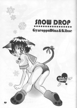 (C55) [Gyaroppu Daina, Kusse (Narita Rumi, Senami Rio)] SNOW DROP (Neon Genesis Evangelion) - page 2
